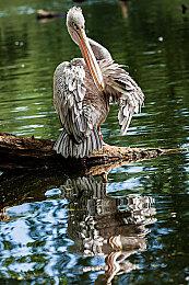 月球种田游戏《Moon Farming 》序章2022年1月在Steam免费推出