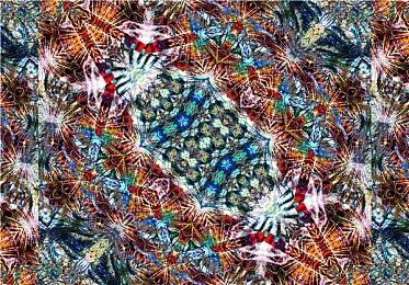 万代宣布：传说系列将于8月10日举行发布直播活动